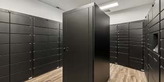 Lakeside Village Gallery 17