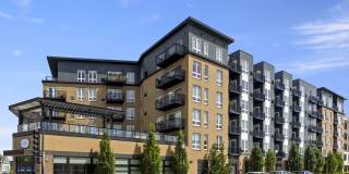 Maple and Main Gallery 2