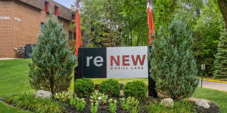ReNew at Neill Lake Gallery 1