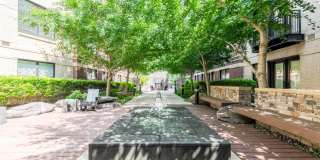 19Nineteen Clarendon Apartments Gallery 36