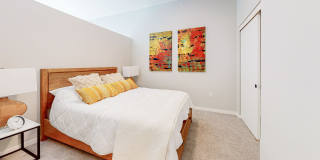 The Scenic Gallery 42