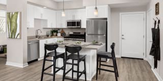 Homecoming at The Resort Apartments Gallery 19