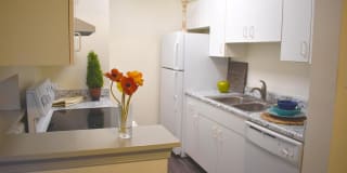 Allyson Gardens II Gallery 37