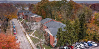 Tarpis Woods Gallery 6