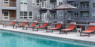 Emery West Highland Gallery 3