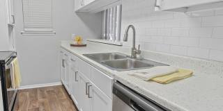 Hollytree Apartments Gallery 5