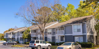 Ellevate St. Ives Gallery 24