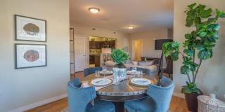 Dream Aspen Creek Gallery 15