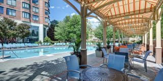 Windsor at Mariners Gallery 38