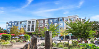 Chelsea at Juanita Village Gallery 3