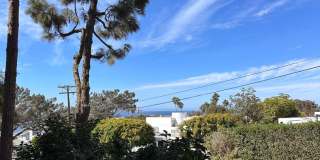 Los Arboles Apartments Gallery 6