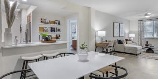 Bell Sunrise Bell Sunrise Gallery 4