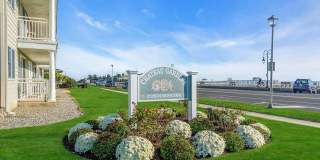 205 Ocean Avenue unit: 27 Gallery 1