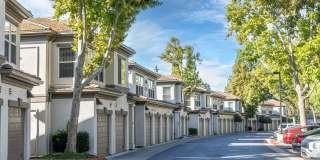 The Carlyle Gallery 24