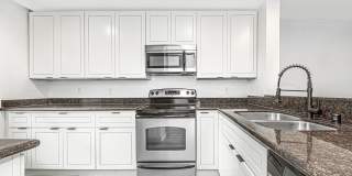 Terra Verde Gallery 1