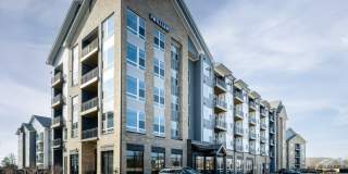 The William Gallery 1