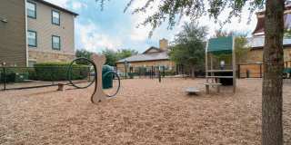 Palmera on 3009 Gallery 6