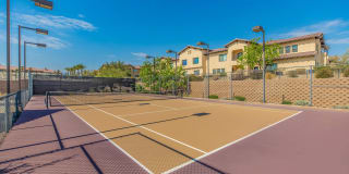 The Vineyards at Palm Desert Gallery 3