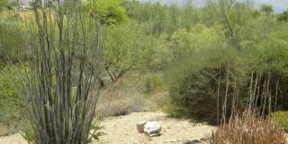 14402 N Ibsen Drive unit: Apt B Gallery 33