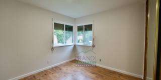 9 Quince Ct Gallery 17