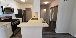 Hillside Terrace Gallery 1