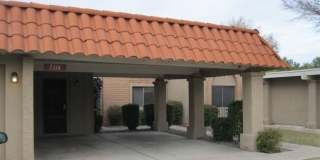 5314 S PALM Drive Gallery 1