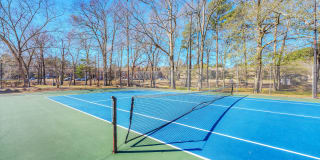 Pear Orchard Gallery 28