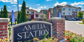 Amelia Station Gallery 70