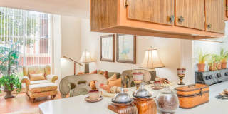 South Oaks Gallery 5