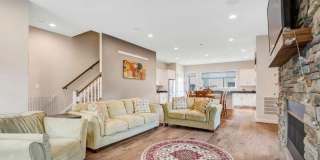 12258 SESSILE CMNS Gallery 50