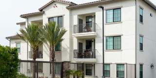 Altura at the Groves Gallery 7