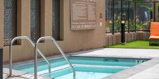 The Willows Gallery 23