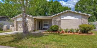 Spacious 4BR/2BA Carrollwood Meadows home. Gallery 3