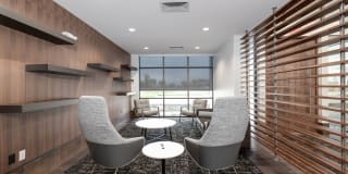 The Avante Gallery 12