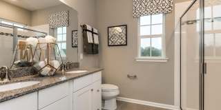 222 Amber Acorn Avenue Gallery 15