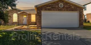3308 Catalina Drive Gallery 1