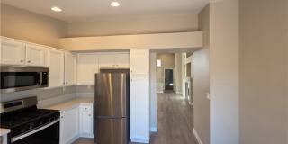 626 Palmwood Lane Gallery 38