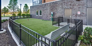 TGM Northshore Gallery 26