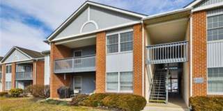 Beautiful 2 Bedroom Condo for Rent Gallery 1