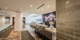 Axis Gallery 15