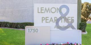 Lemon & Pear Tree Apartments Gallery 17