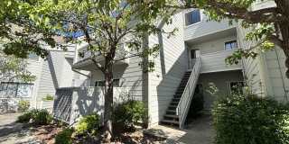 Newly Remodeled 2 Bed 1 Bath Unit Right Near Cabrillo College Gallery 1