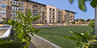 Citrine Apartments Arcadia Gallery 16