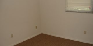 Palmetto Creek Gallery 13