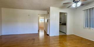 CRAIG Gallery 3
