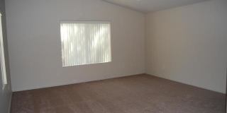 11229 W. Chase Drive Gallery 11