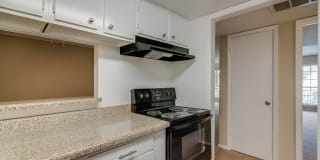 Allen House Gallery 20