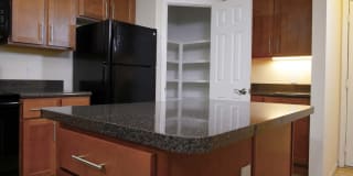 TGM Bay Isle Gallery 19