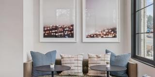 The Stockton Gallery 14