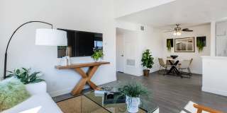 Park Sierra Gallery 53